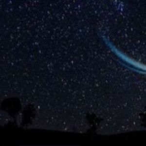 Meet your Posher, Cal